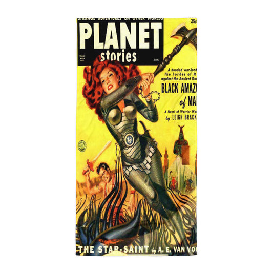 Planet Stories Beach Towel